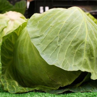 Five health benefits of cabbage and a coleslaw recipe