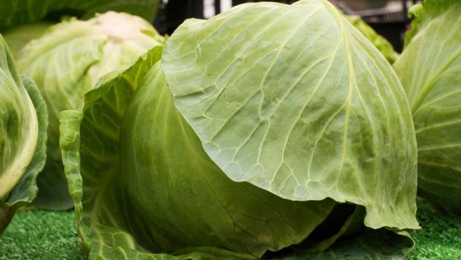 Five health benefits of cabbage and a coleslaw recipe