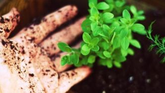 Why getting dirty in the garden makes us happy