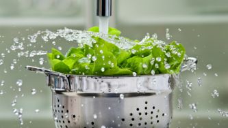 Ditch the plastic for Bottled Water Free Day