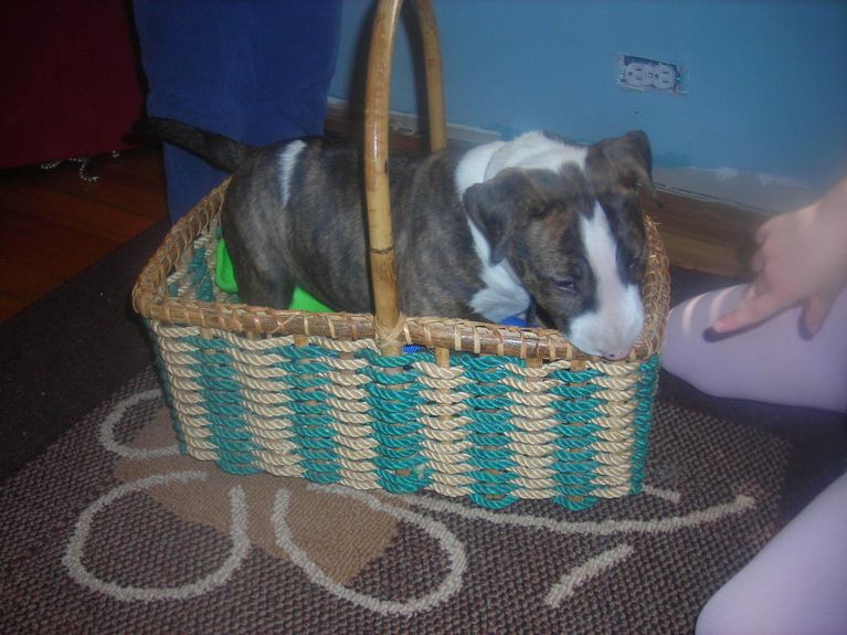 Baby Duncan!