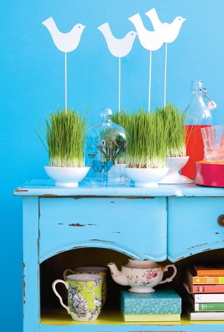 bird, design, decorating, craft, DIY, accessories