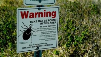 Lyme disease