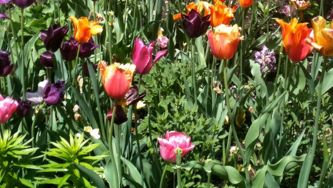 Great paint colours for spring and summer