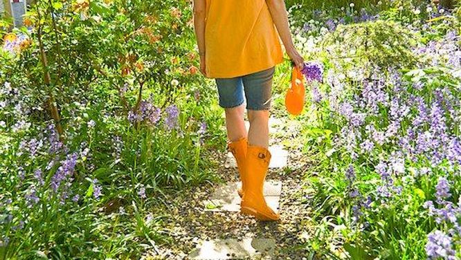 The easiest seeds to grow in your garden