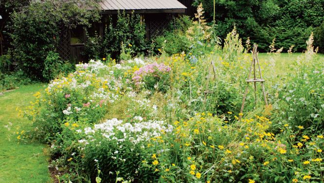 Six tips on how to create a wild, natural garden