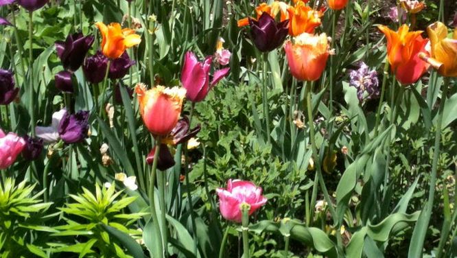 Great paint colours for spring and summer