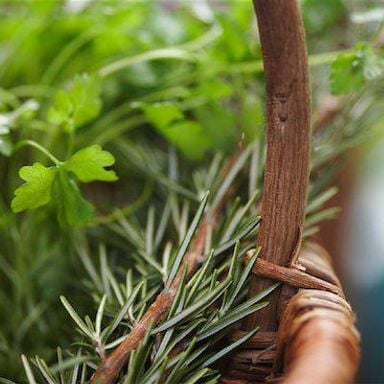 Complete guide to herbs and spices