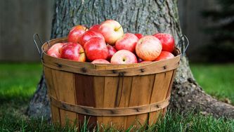 Five things I love to do in the fall