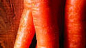 Carrots