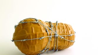 Why deadly food allergies are on the rise