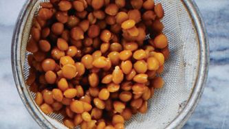 Lentils