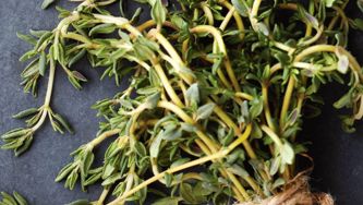 Thyme