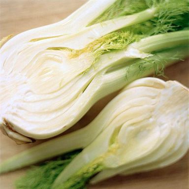 Fennel