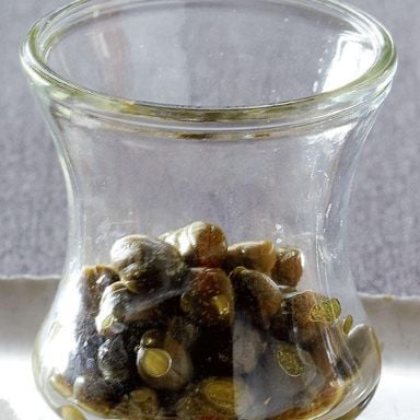Capers