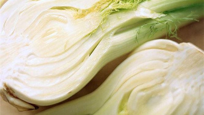 Fennel