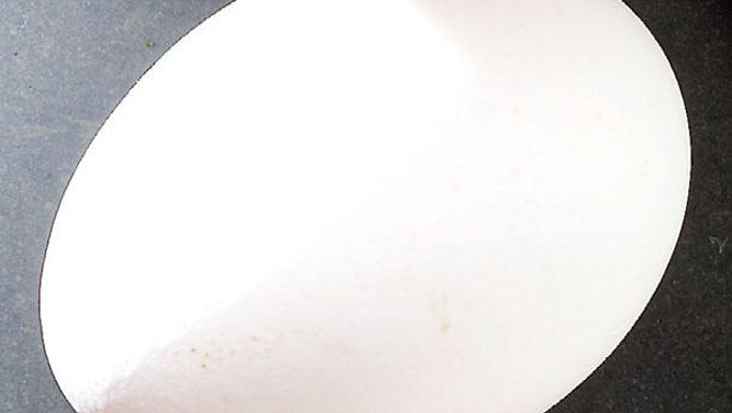 Eggs