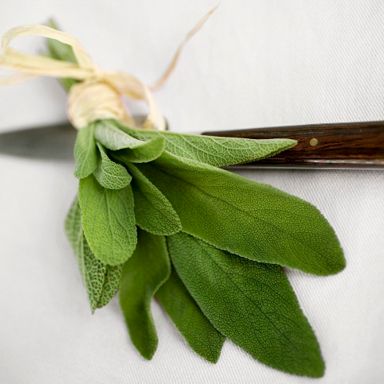 Sage