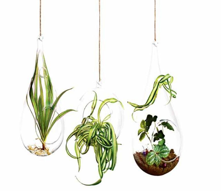 Glass bird feeders