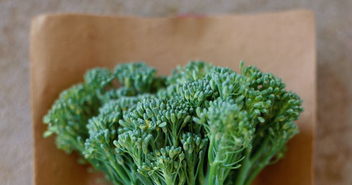 Rapini The amazing health benefits of the broccoli relative Chatelaine