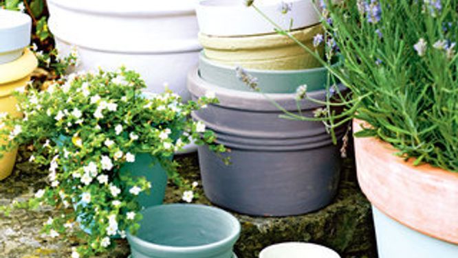 How to grow herbs indoors: 7 tips