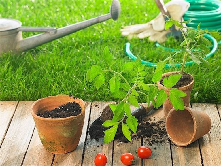 How to make homemade weed-killer and more gardening tips