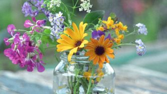 11 items you usually trash, but can easily reuse