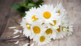 Five Mother's Day gift ideas that don't cost a fortune