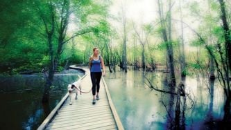 How nature can benefit your health and happiness