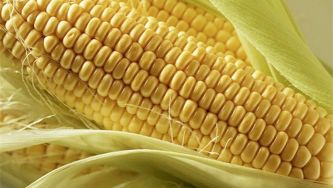 An easy (and mess-free) way to remove corn from a cob