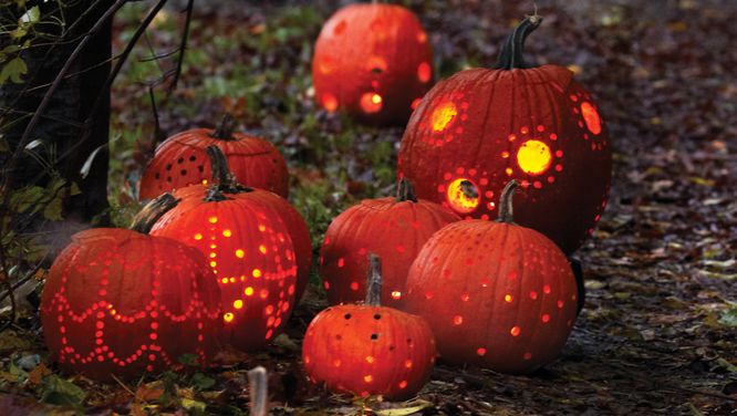 Easy trick to create a pumpkin patch for Halloween