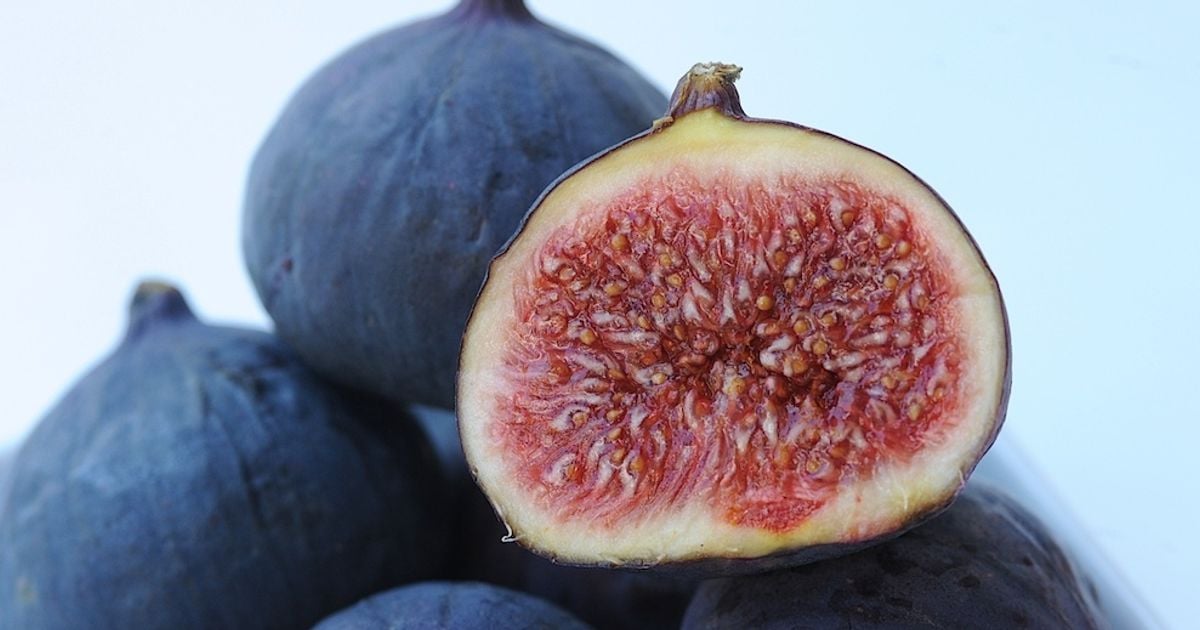 Five health benefits of figs and a dairyfree spread recipe Chatelaine