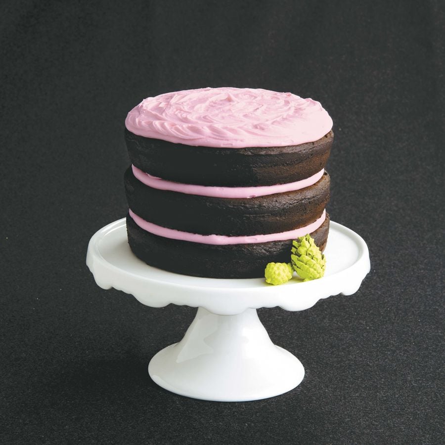 Chocolate Cake With Pink Vanilla Frosting-image