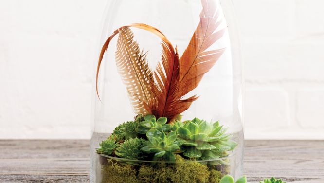 How to make a pretty mini terrarium