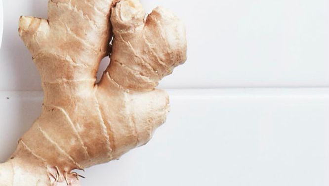 Ginger root