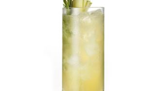 Apple rosemary collins