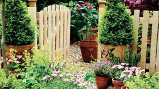 How to create a cottage garden: Tips from Frankie Flowers
