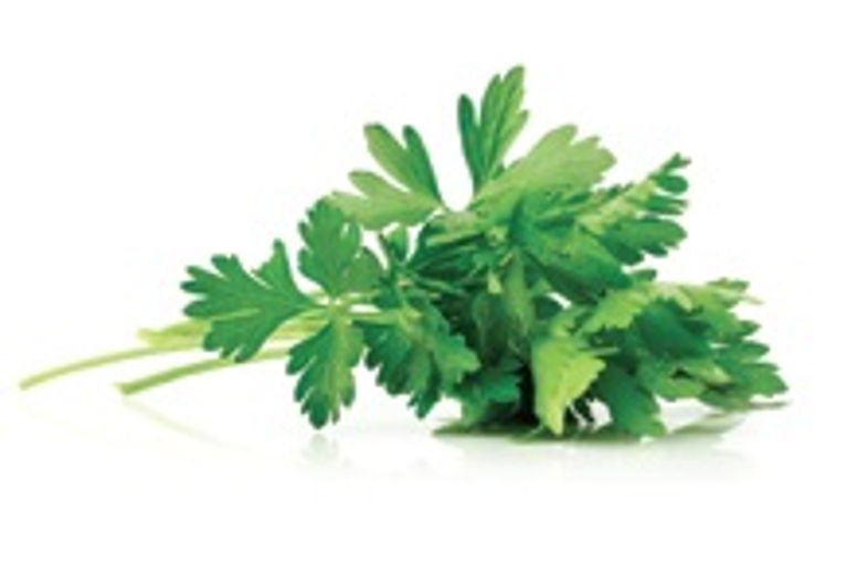 Parsley