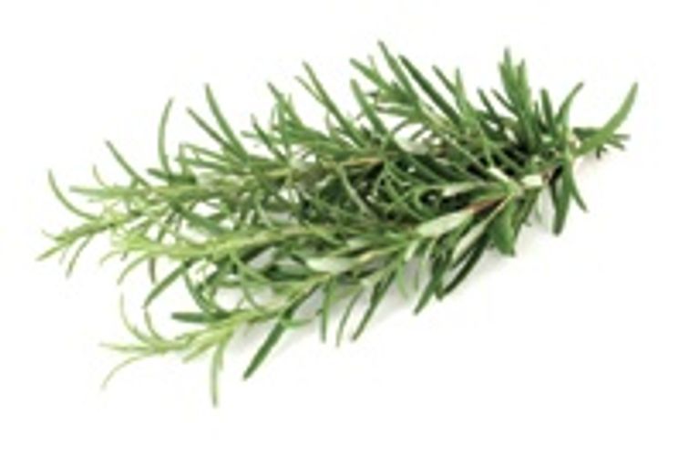 Rosemary