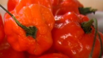 How to test the heat of chili peppers