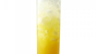 Bitter orange soda