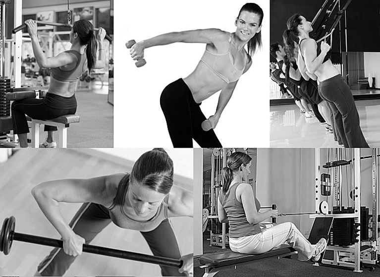 Lat pulldowns, single-arm rows, TRX pulldowns, bicep curls and seated rows Back Exercises James Fell Workout