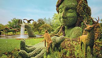 Check out this incredible botanical masterpiece
