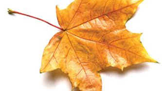 September: Three things not to miss this month