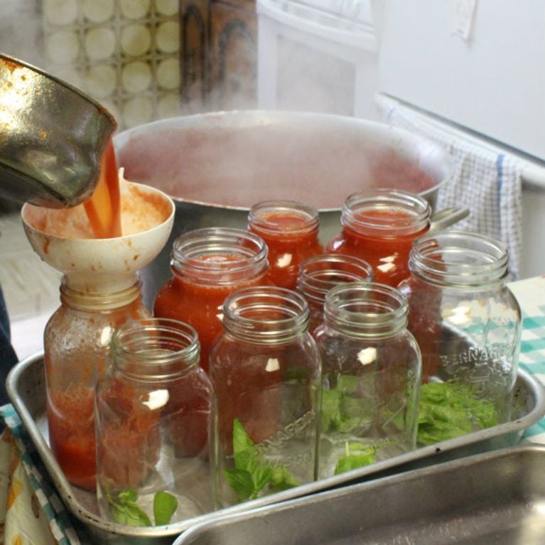 canning tomatoes