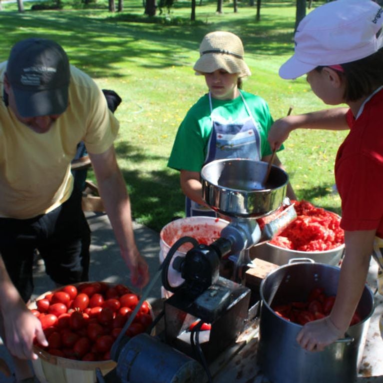 milling tomatoes