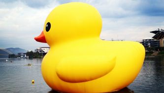 Experience the best of Pittsburgh: Museums, fine cuisine and more