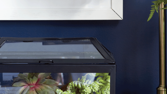 How to make a pretty tabletop terrarium