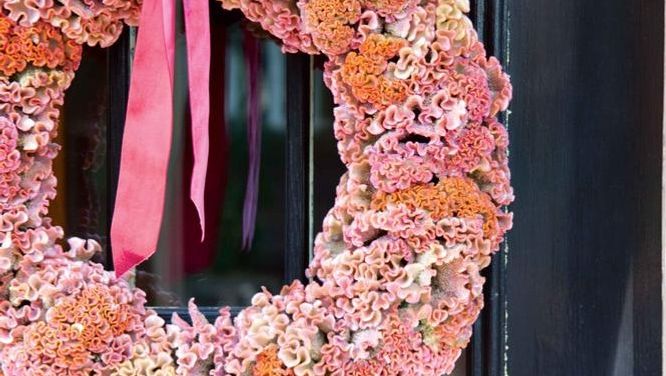 Make a pretty pink wreath with dried flowers