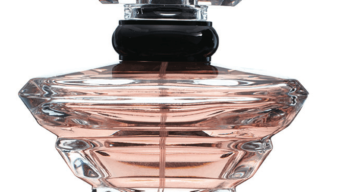 Our 10 favourite scents for winter
